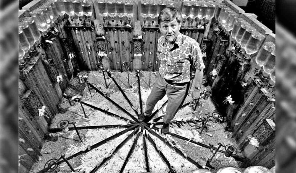 Universe 25 Deneyi